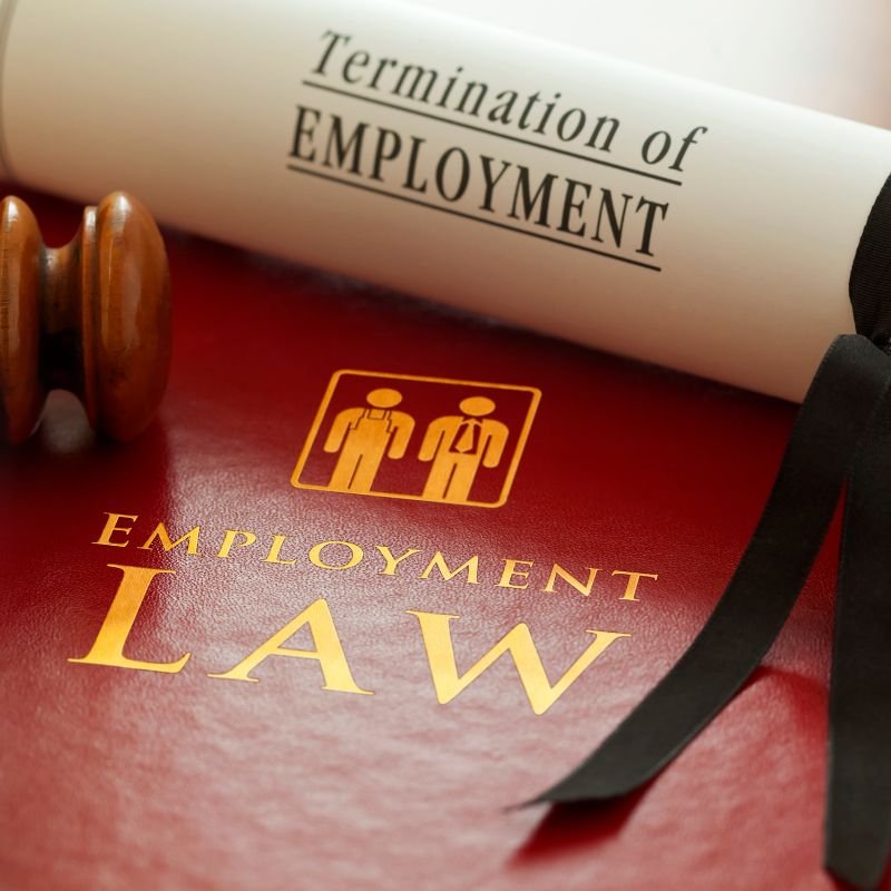 Employment Law (1)